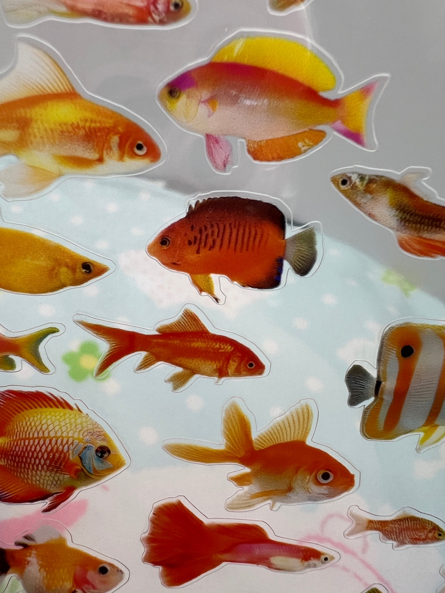 ♡Hey Fishy Sticker Sheet♡