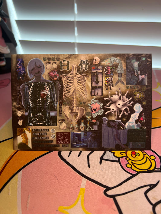Rebirth Collection 14